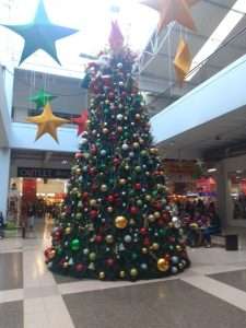 Alquiler y venta de arbol de navidad