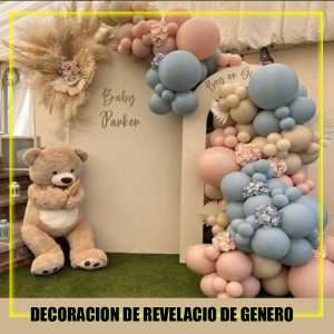 Decoracion de revelacion de genero
