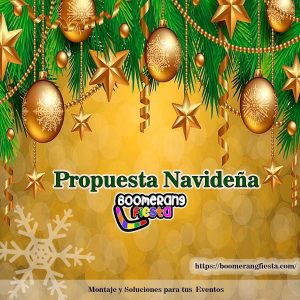 Paquetes para fiesta de navidad